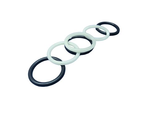 Bom preço. 20Mpa Resistência à tração FFKM O Anéis com resistência ao envelhecimento e resistência a temperaturas extremas para ambientes adversos on-line